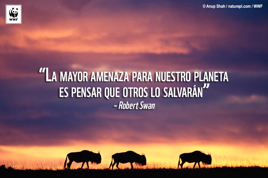 WWFespana tweet picture