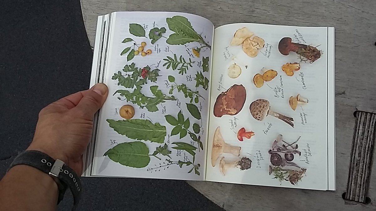 StudioPolpo's tweet photo. Just got @dumas0 &amp; @annachrystals A Sick Logic book following their @site_gallery residency. Lovely &amp; probably one for you @t_o_m_j_a_m_e_s https://t.co/7ChVtmHR61
