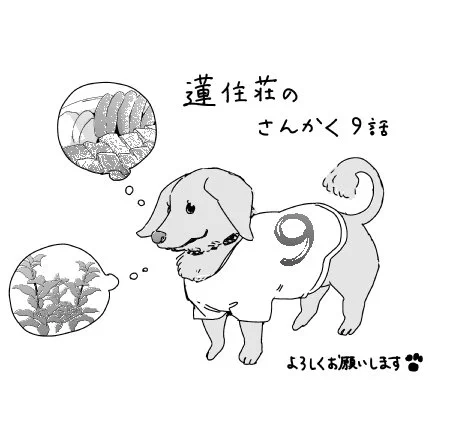 本日発売のARIA9月号にて「蓮住荘のさんかく」9話載せていただいております。ARIA7周年色紙プレゼント企画にも参加させていただいてます～よろしくお願いします◞( 、*'▿`)、 