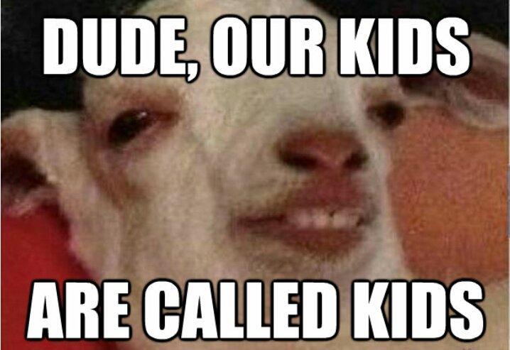 kittenruleslol's tweet image. This meme tho XD