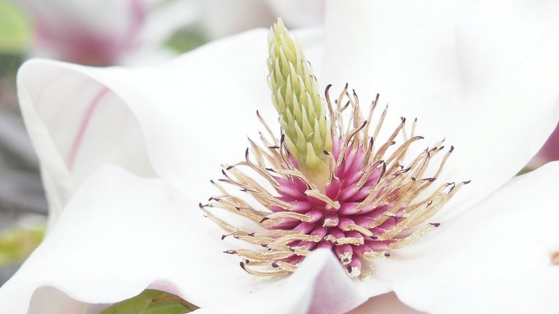 DiminskyVictor's tweet image. MOOOOOOD  . . . . .  SUMMERTIME . . . . . KIEV_07_17