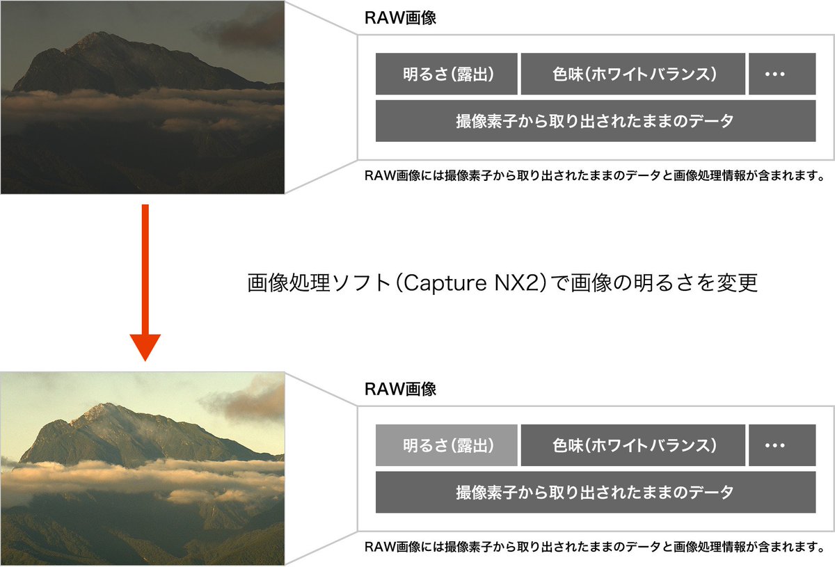 Uzivatel ニコンちゃん Na Twitteru デジタル 一眼レフ カメラの基礎知識 画質モードの Raw画像 って 何のこと 画質モードのファイル形式 Raw Jpeg Tiff の違いを覚えておくと 撮った後にとっても便利 詳しくはコチラ T Co Ukiyuhggyh