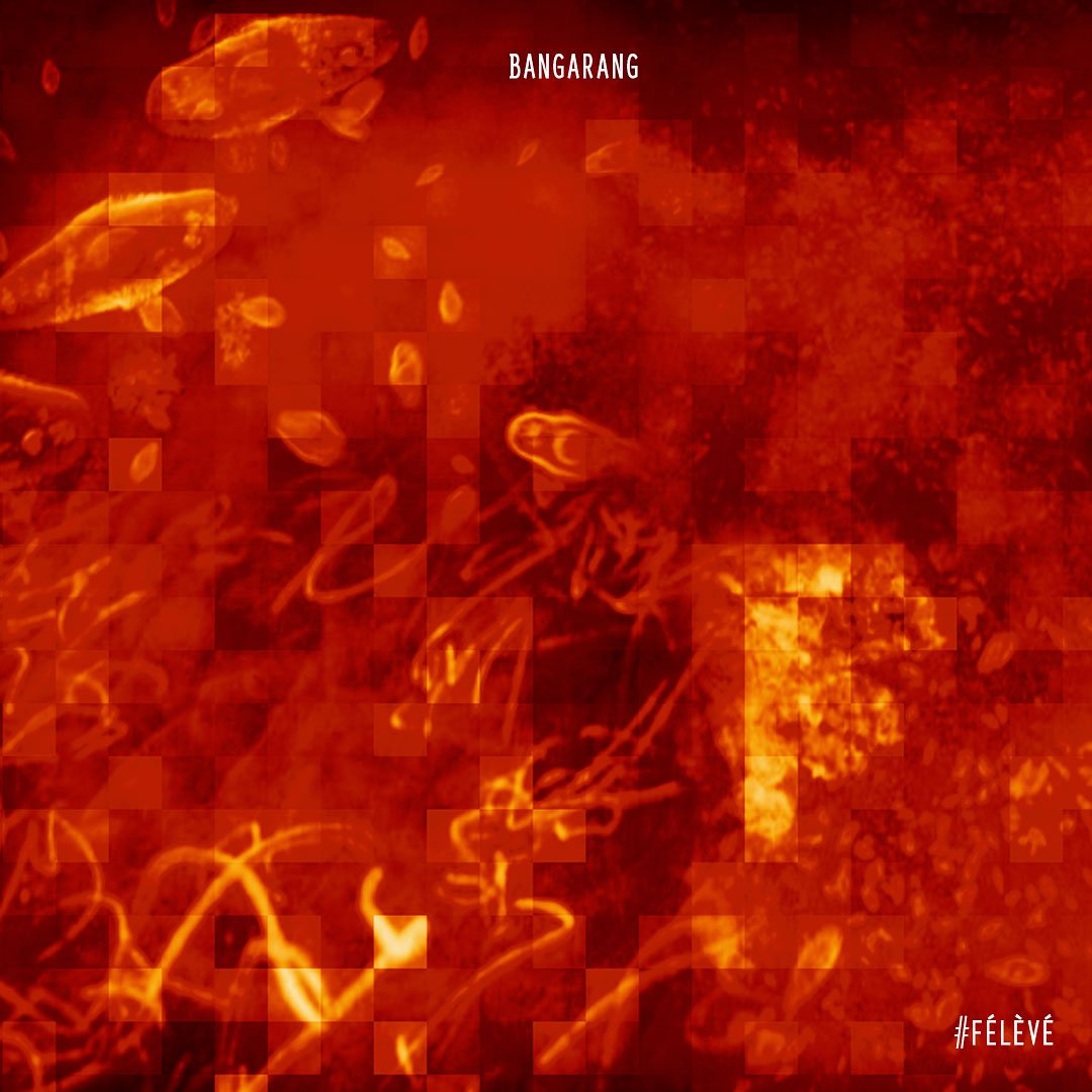 Kaf_RouGe's tweet photo. 'Bangarang' from '#Félèvé Part 1', the foundation of the #AlternativeReggae #Dub from #ReunionIsland > https://t.co/bF7LhDXQMJ https://t.co/akuSZW6wTX