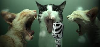 IrlamCatholic's tweet photo. This Saturday night we have Karaoke in the lounge with Noel &amp; Marie...while Terry is on holiday.. https://t.co/6sLLpz9Tec
