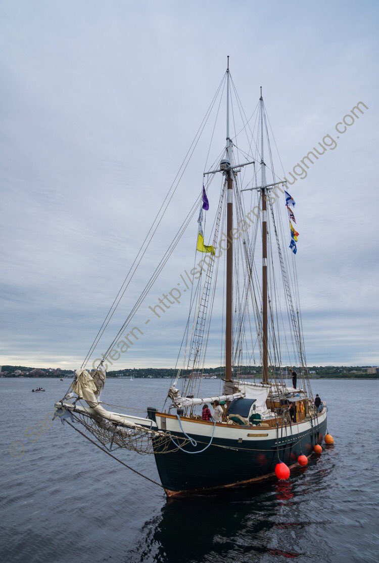 sandymcclearn's tweet photo. Four @2017RDV arrivals on @My_Waterfront yesterday, and more today! @HMCS_NCSMORIOLE #MistOfAvalon #ElGaleon #SpiritOfSC @VisitNovaScotia https://t.co/qFNcI9gUfD