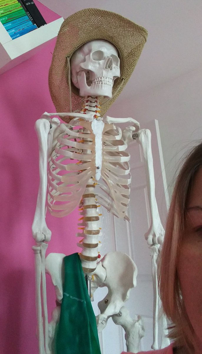 KeepWellKW's tweet photo. You know revision is going well when you start talking to your skeleton #askfrank @theCSSM 
And yes he is wearing a cowboy hat! #yeehaw https://t.co/VlpYy10sMP