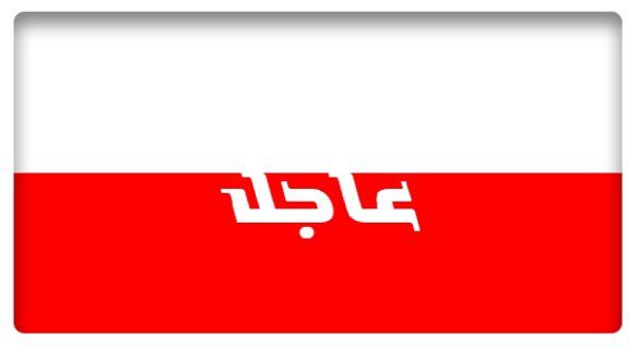 عرض الصورة على تويتر