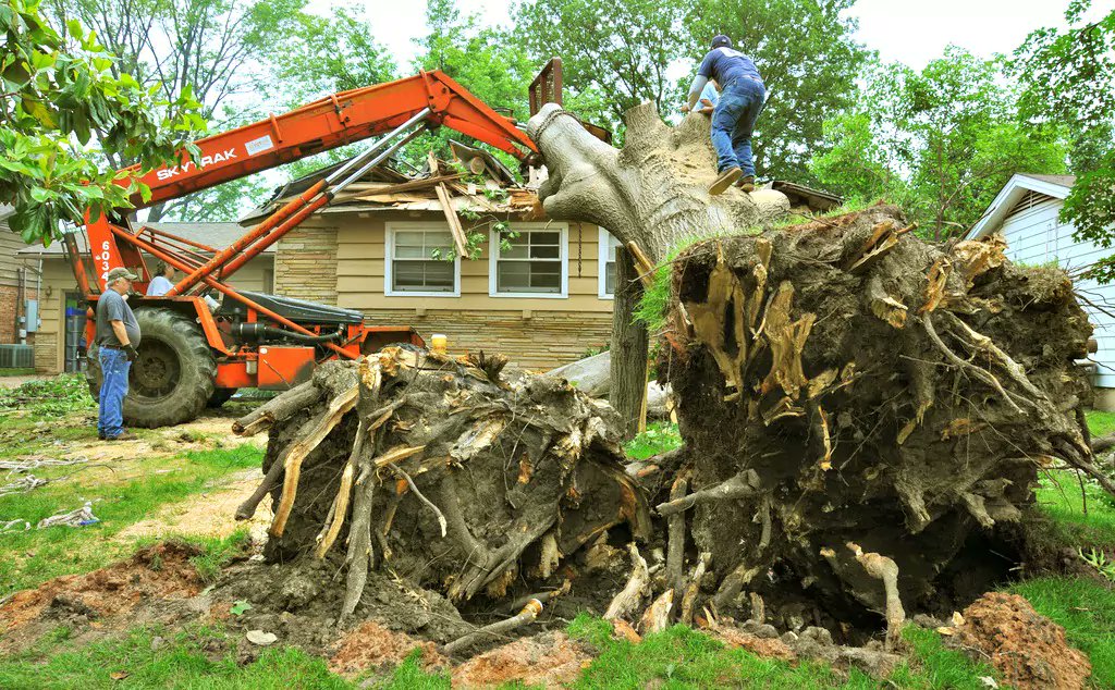 Treeraider's tweet photo. #Stump #Removal services in Castle Hill. Quick, reliable and affordable services by #Tree_Raider.
Call us now 0414 762 797 / 1300 723 996 https://t.co/uPGXYJYJNG