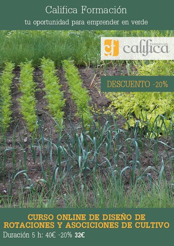 CalificaSL tweet picture