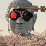 BUDDAシリーズ!完成していたの？ロボットアニメ宛らな大仏様!