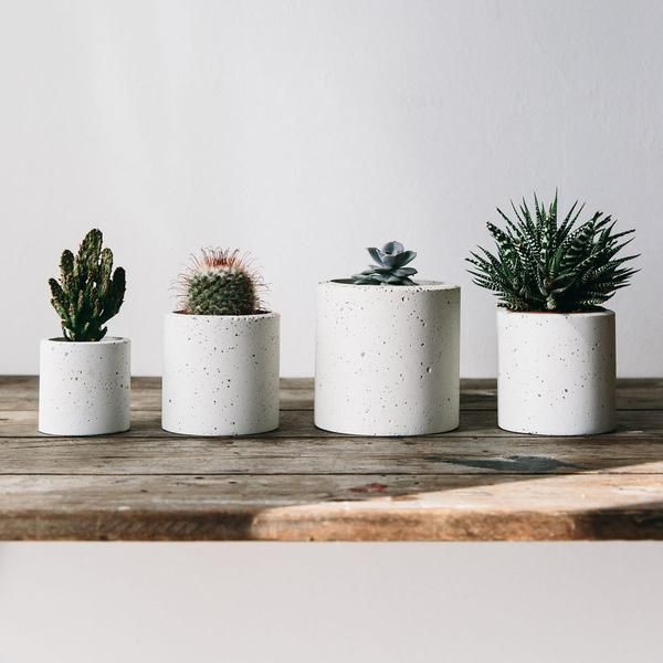 thefuturekept's tweet photo. The perfect minimalist planter to make your cacti and succulents shine.  #HHLunch @HandmadeHour

https://t.co/tD9hK11qgj https://t.co/2Uv80qrwtz