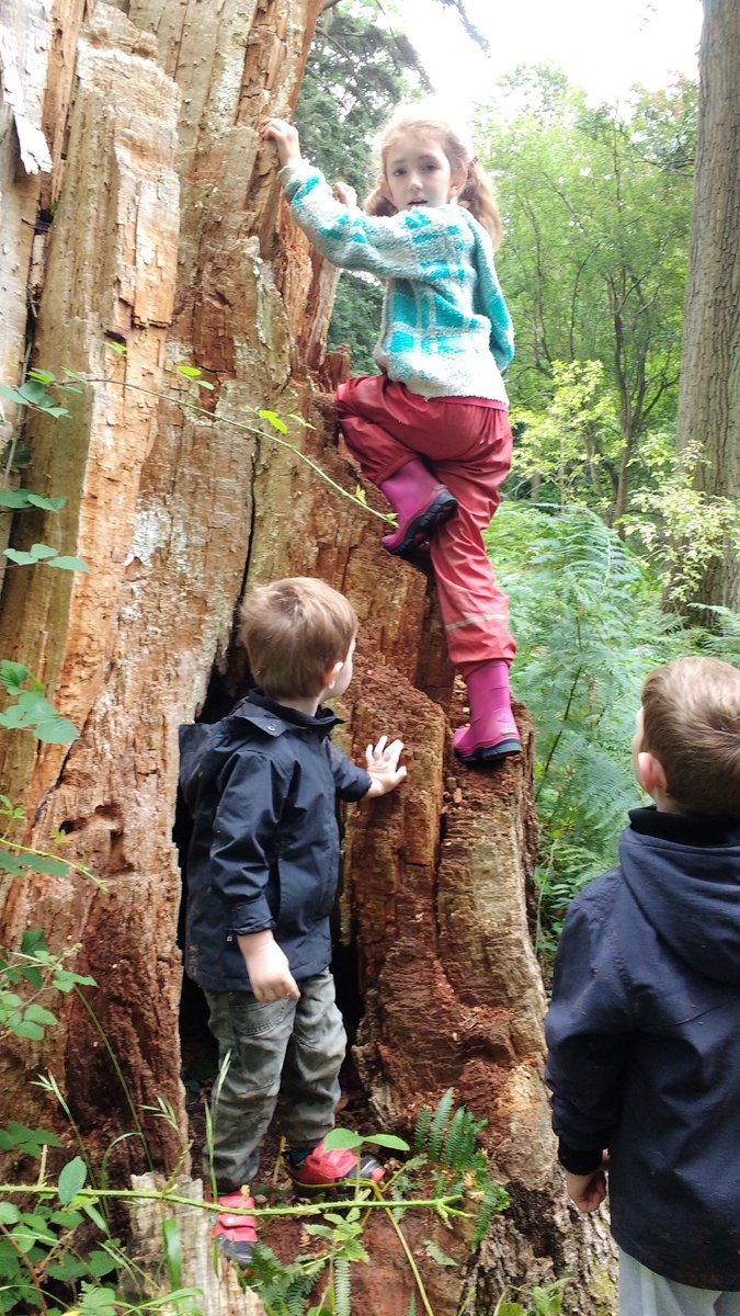 JRDiscoveryTree's tweet photo. @TortworthTrees was truly alive with magic for our Harry Potter day! #forestschool #HarryPotter #discoverytree https://t.co/6u9VRvAXBj