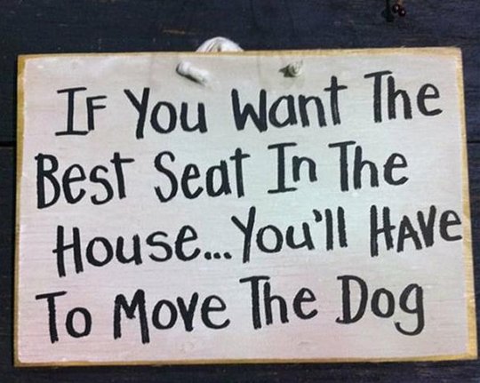 theglobaldog's tweet photo. Everyday Struggle :|
#dogparent #dogsoftwitter #iheartdogs #dogsarethebest #doglovers #DogObsessed #GlobalDog https://t.co/KEpeC329jz