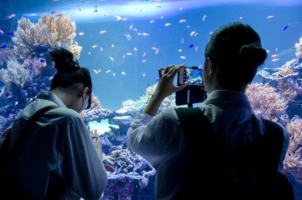 いまどきjk イマドキjk Imadokijkcom Twitter