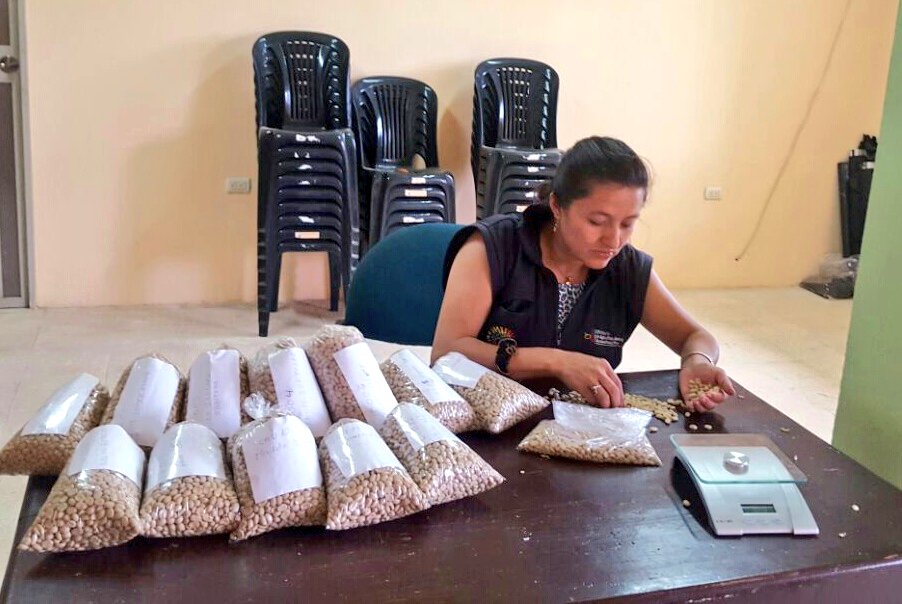 Agricultura_CZ7's tweet photo. #InfoMAG | Preparacion de muestras de café para pruebas de laboratorio, cantón #Chaguarpamba #SomosMAG https://t.co/4YWQsUipon