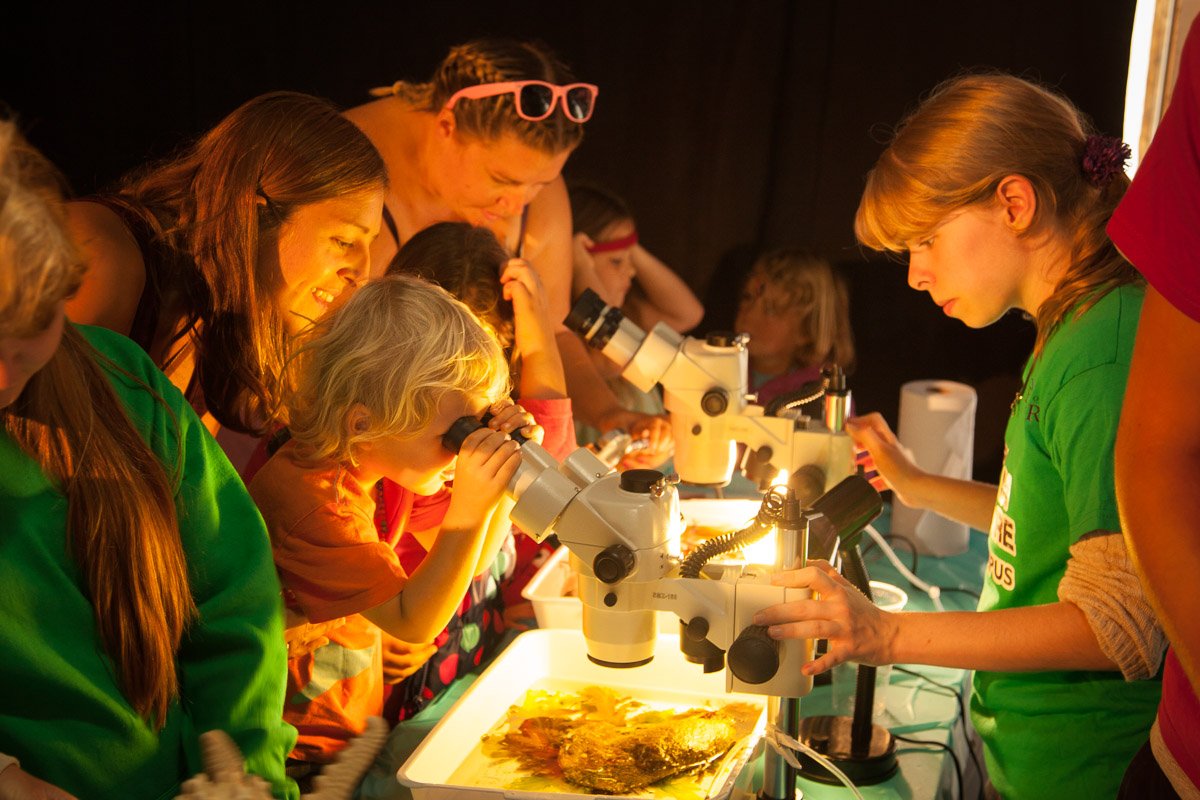 UoE_SciSquare's tweet photo. **2 weeks to go** until #ScienceInTheSquare ! Come and be a #scientist for the day! FREE ENTRY #loveFalmouth https://t.co/7RBoJdvkVF https://t.co/tITQGz0xsT