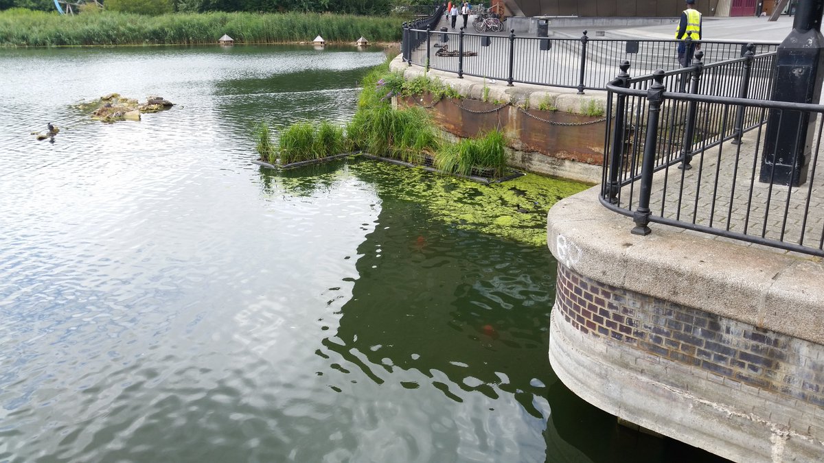 What's on SE1 & SE16 tweet media