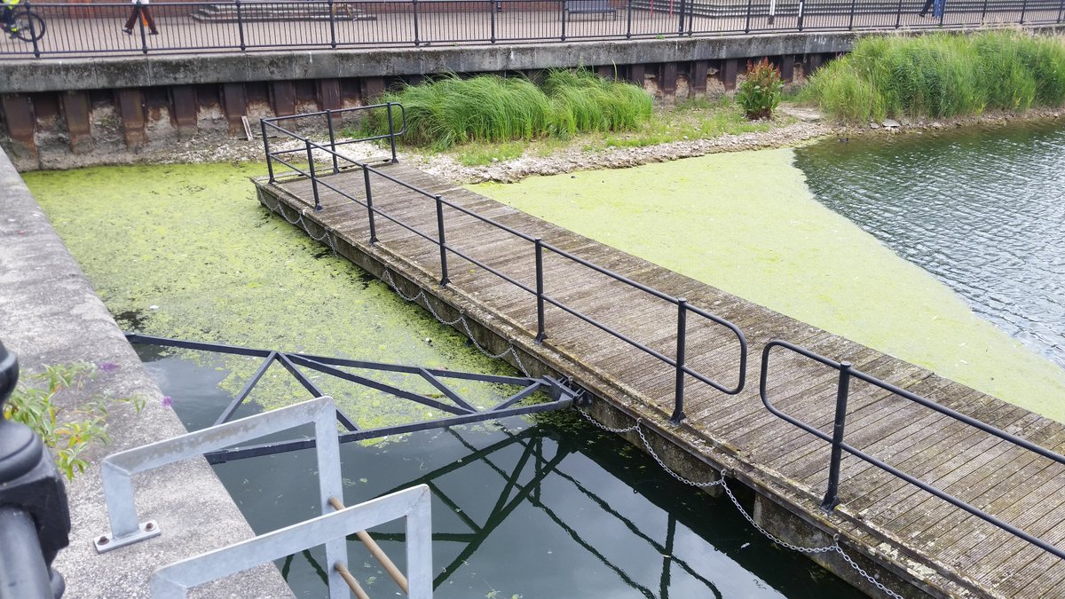 What's on SE1 & SE16 tweet media