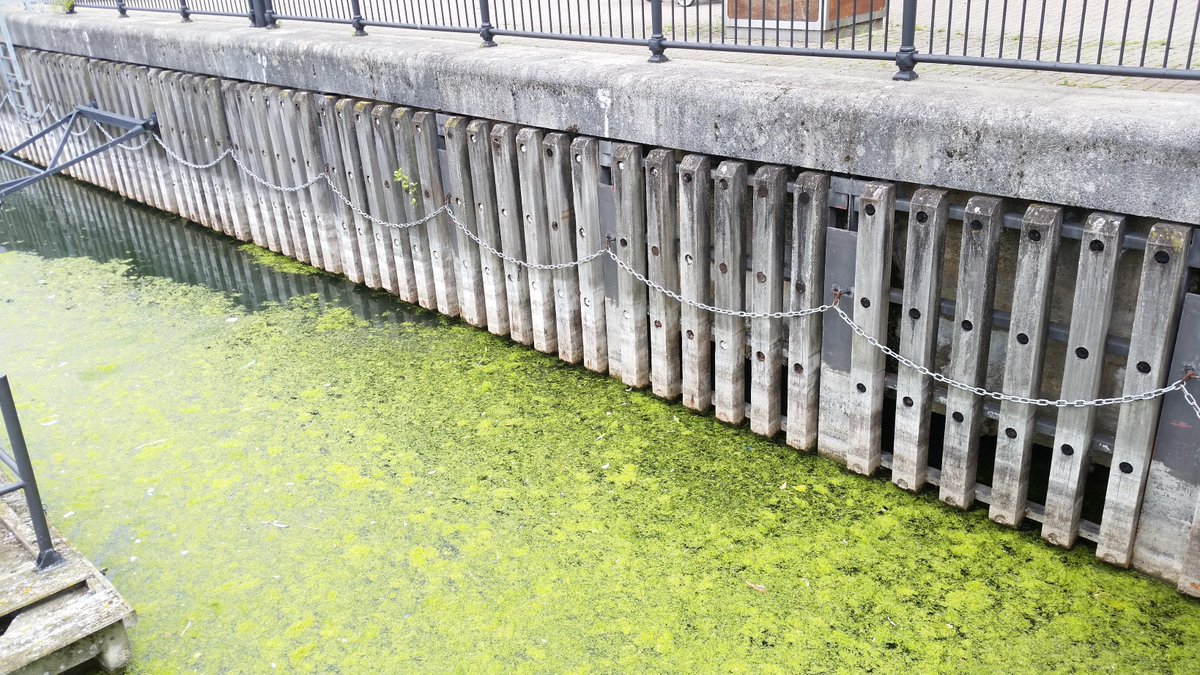 What's on SE1 & SE16 tweet media