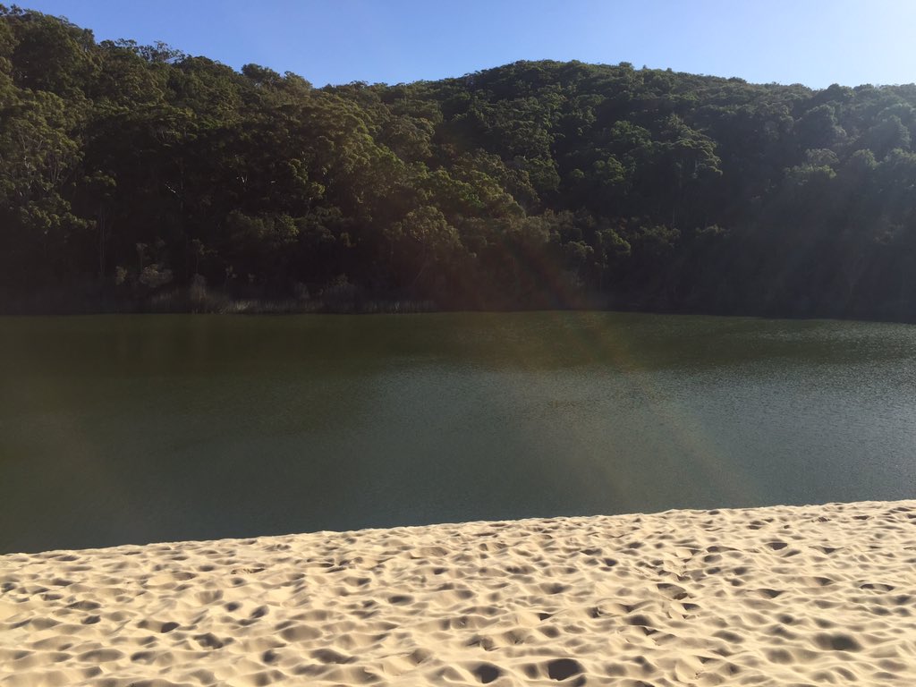 Dag 1 op Fraser Island:
Lake McKenzie, lopen door het tropisch regenwoud, Lake Wabby en met een bus met 80 km per uur door mul zand crossen!