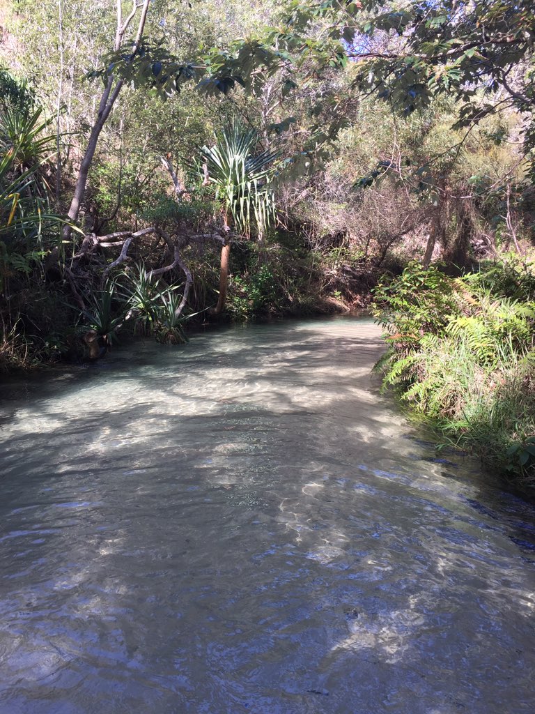 Dag 2 Fraser Island:
Met vliegtuigje over het eiland gevlogen, orka en walvissen gezien en in champagne pool en eli creek gestaan.