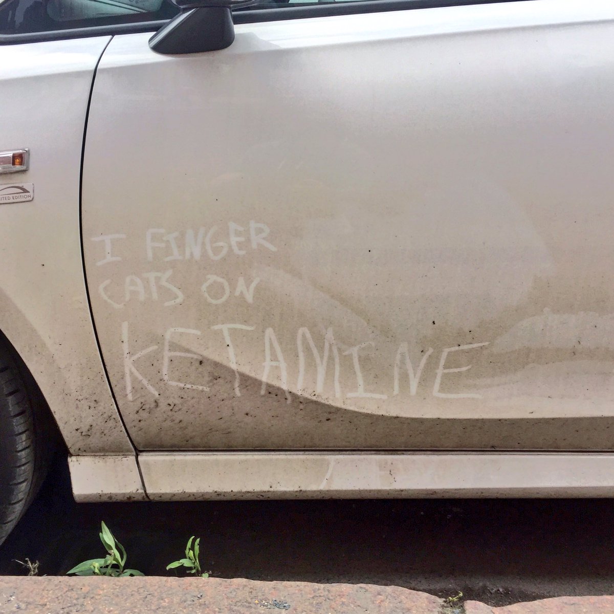 Why_U_Reading's tweet image. I FINGER CATS ON KETAMINE 

Little Kelham Street, S3

#Sheffield #streetart #graffiti #streetwords #typebrut