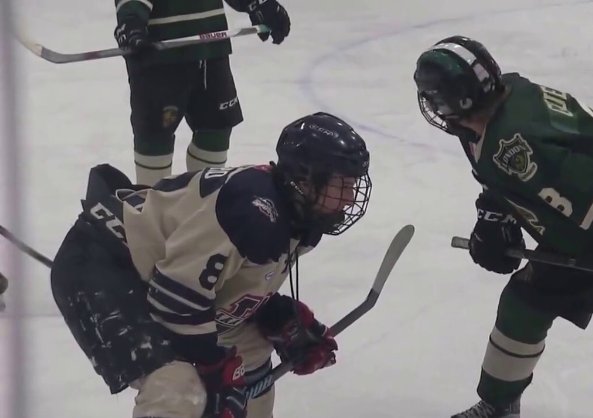 LaSalle Vipers tweet media