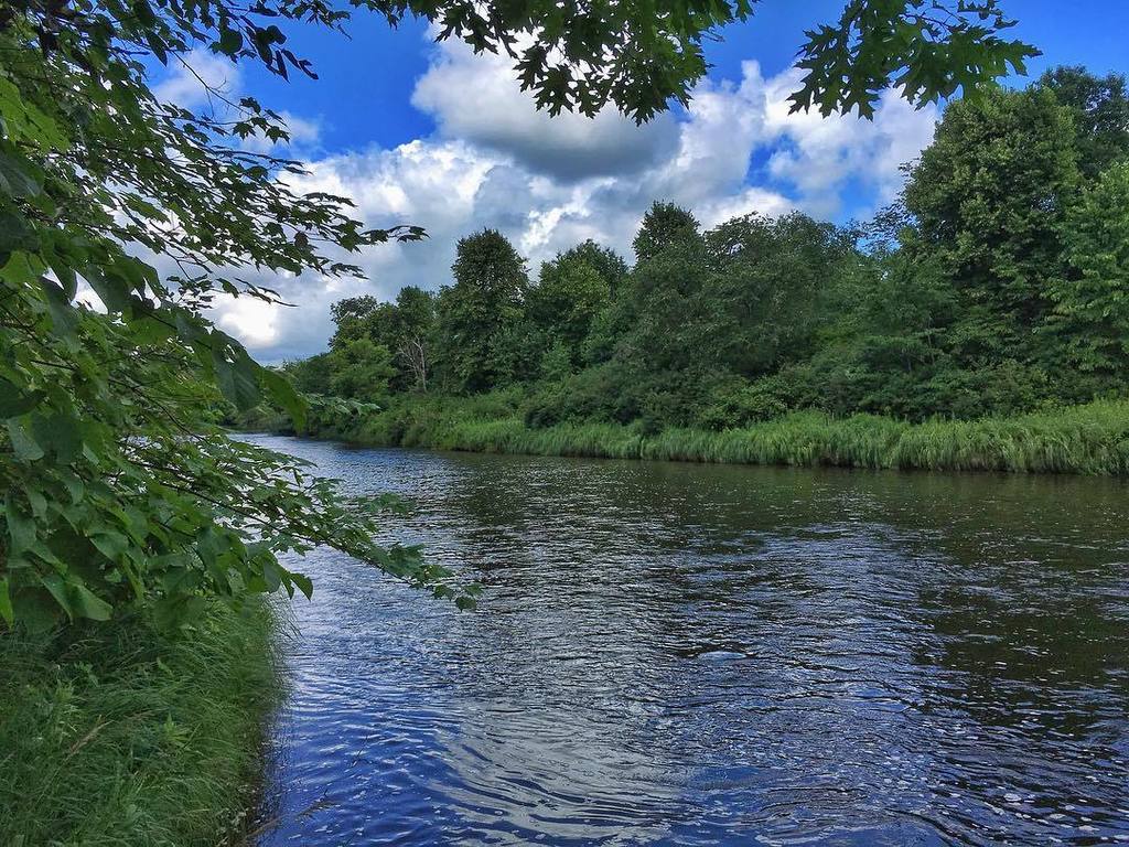 agkmay's tweet photo. In the thick of it. ๐ณ๐๐ณ #minnesota #exploremn #rumriver #milaca #explore #adventure #nature #gooutside #rivers #loโฆ https://t.co/SRj0qOKfTH https://t.co/nMuYQe9y7H