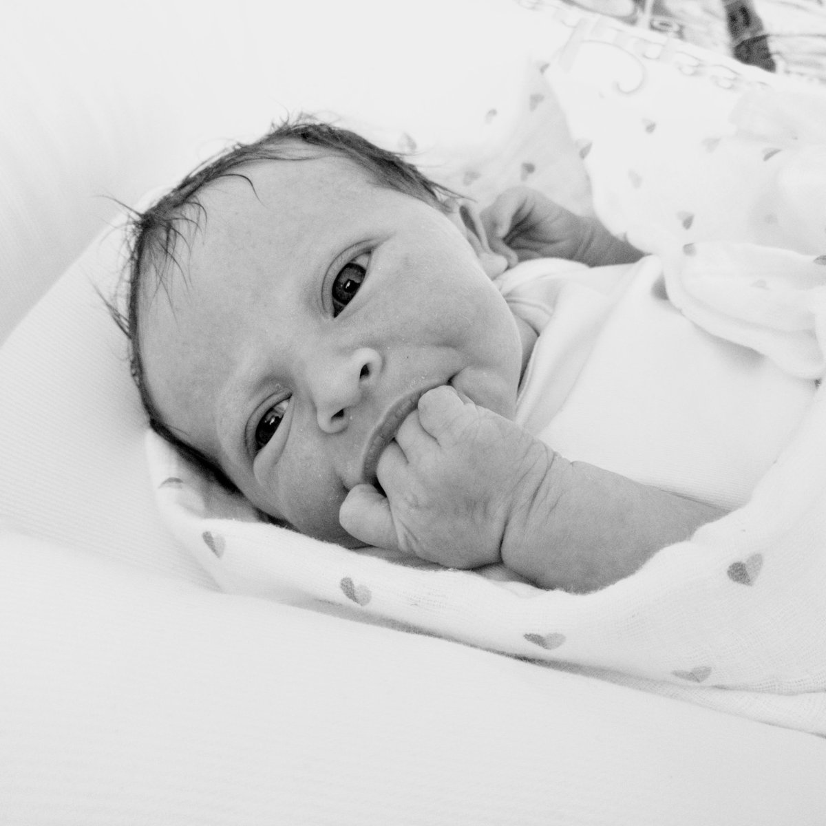 MJ_Boyle's tweet image. Ella Dorothy. Hello World.