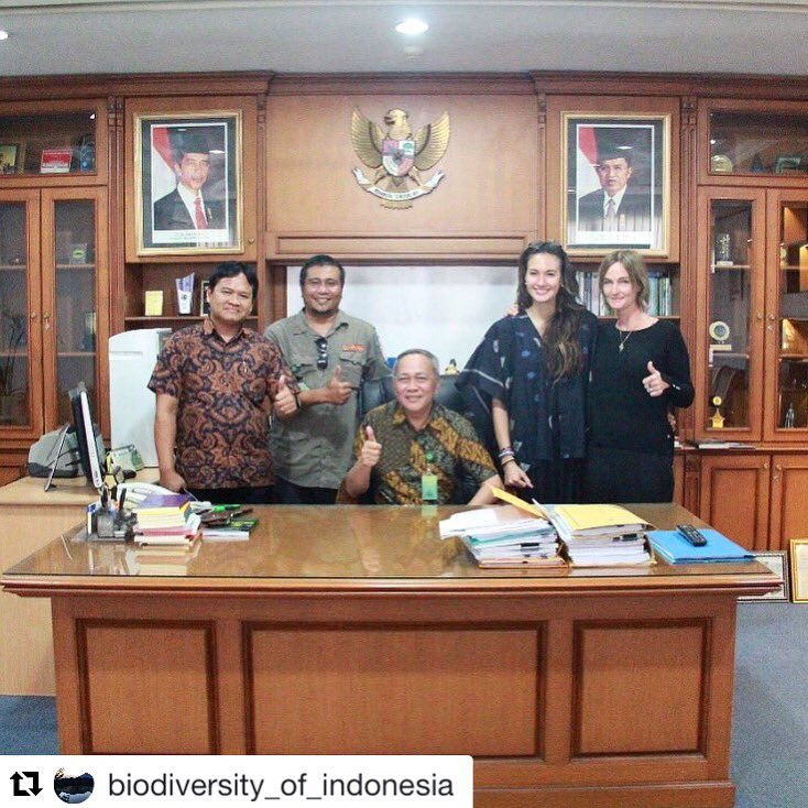 Repost! 🙌🏼 Pertemuan dengan Dirjen KSDAE Ir. Wiratno, M.Sc terkait Animal Welfare di ruang kerja Dirjen KSDAE <a href="/Dolphin_Project/">Dolphin Project</a> <a href="/seasoldier_/">#SEASOLDIER</a>