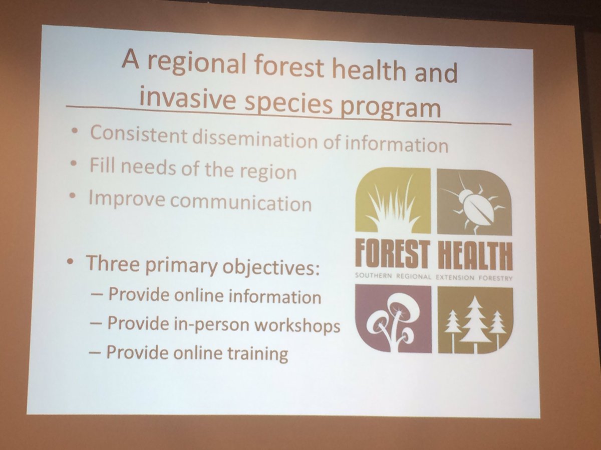 ProForestUF's tweet photo. #forestinsects @drdavecoyle talking about his Forest Health program https://t.co/sv0o3j8IpM