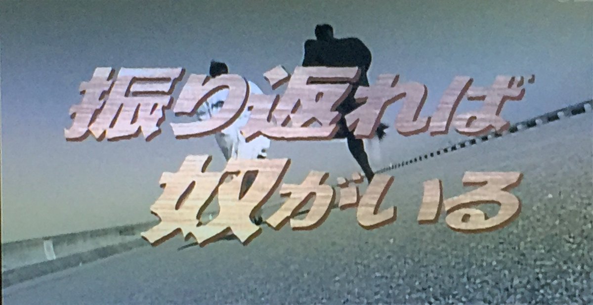 今日は弟の日 Kōki Hiroさんは やっぱり猫が好き
