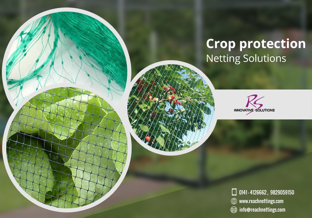ReachNetting's tweet photo. Protect your valuable crops, storage facilities,construction sites, and onsite personnel with our complete range of #NettingSolutions !! https://t.co/xYJpO8gAL3
