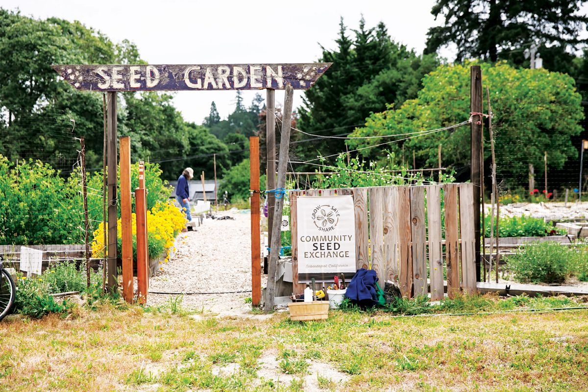 Seed saving is the original sharing economy buff.ly/2u4tXC0 @leilclark