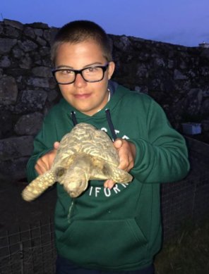 Fgilgayarre's tweet photo. ¡Ayer nos llegaron 2 tortugas viajeras más! Natalia desde #Altea y Alejandro desde #Galicia  #LasTortugasSonParaElVerano ¡Comparte la tuya!😉 https://t.co/ebwaPwwomo