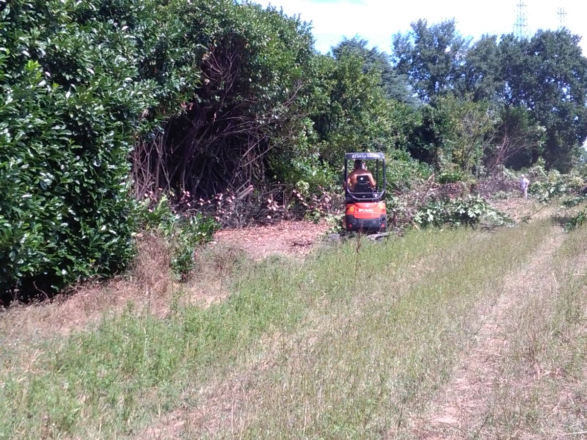 comunicazionemm's tweet photo. #MMCasa - via Sant’Antonio Abate 6-8 a Vizzolo Predabissi: grande operazione di pulizia della zona a verde, restituita l'area ai residenti https://t.co/K410z15Zjw