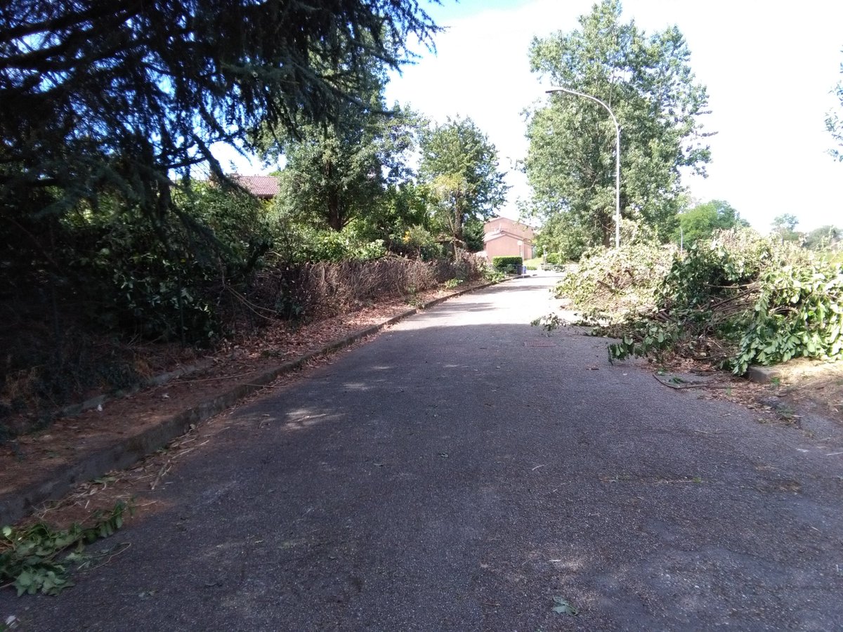 comunicazionemm's tweet photo. #MMCasa - via Sant’Antonio Abate 6-8 a Vizzolo Predabissi: grande operazione di pulizia della zona a verde, restituita l'area ai residenti https://t.co/K410z15Zjw