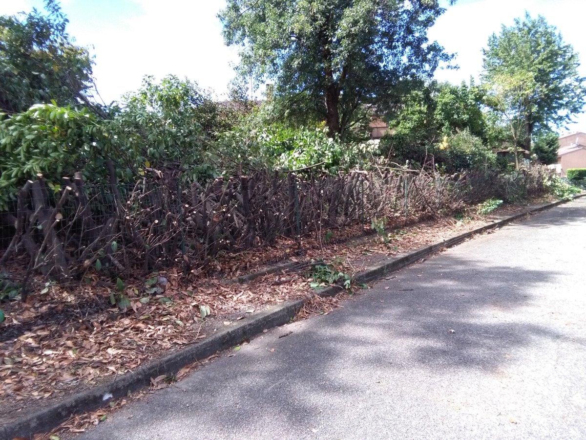 comunicazionemm's tweet photo. #MMCasa - via Sant’Antonio Abate 6-8 a Vizzolo Predabissi: grande operazione di pulizia della zona a verde, restituita l'area ai residenti https://t.co/K410z15Zjw