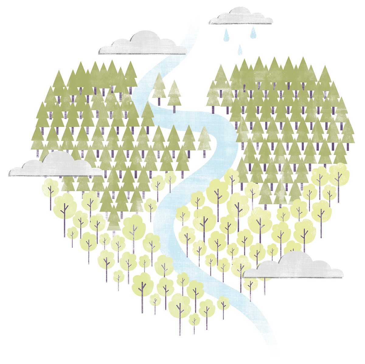 See our animated video on the relationship between #paper and sustainable forestry. ow.ly/6Reo30dWdwH #paperfacts #forestfacts