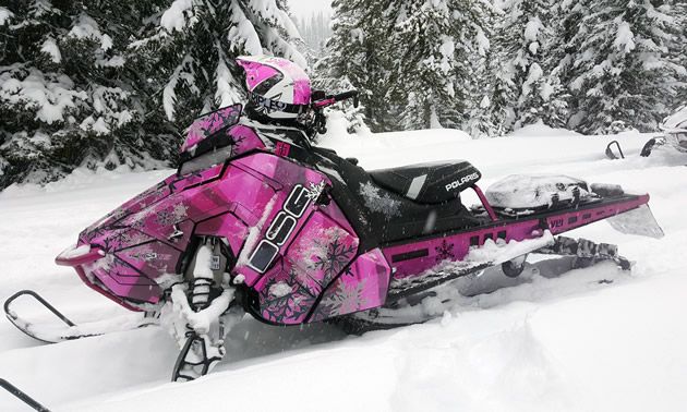 snoriders's tweet photo. Thank you to everyone who voted last week - here is the second round of contestants in our Best #sledwrap Contest: https://t.co/B8pVhlHhc1 https://t.co/4m20CgOxDx