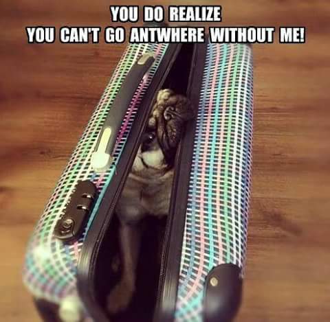 So true 😂😂😂