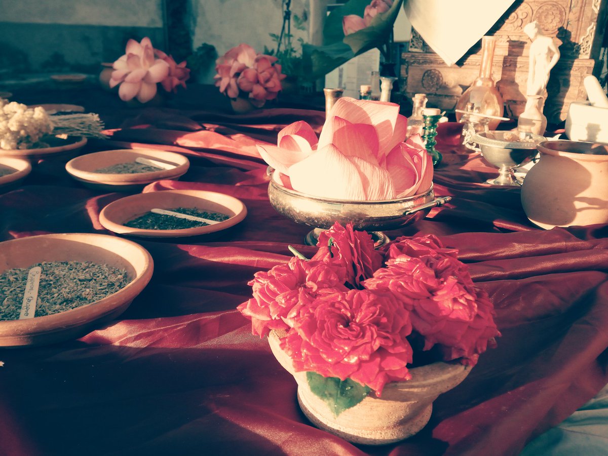 Ritrovare la bellezza nella storia #pieveaelici #massaciuccoli <a href="/CarloCorto67/">Carlo Cortopassi</a> <a href="/trinci67/">Gino Trinci</a> <a href="/CarloCorto67/">Carlo Cortopassi</a> <a href="/nicolettapand77/">Nicoletta</a>