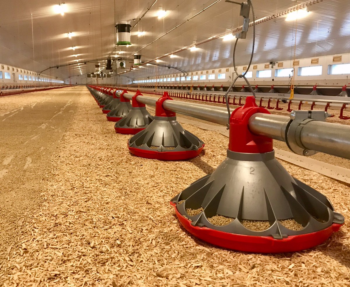 Brian Moxon On Twitter New Choretime Konavi Feeder Ready For