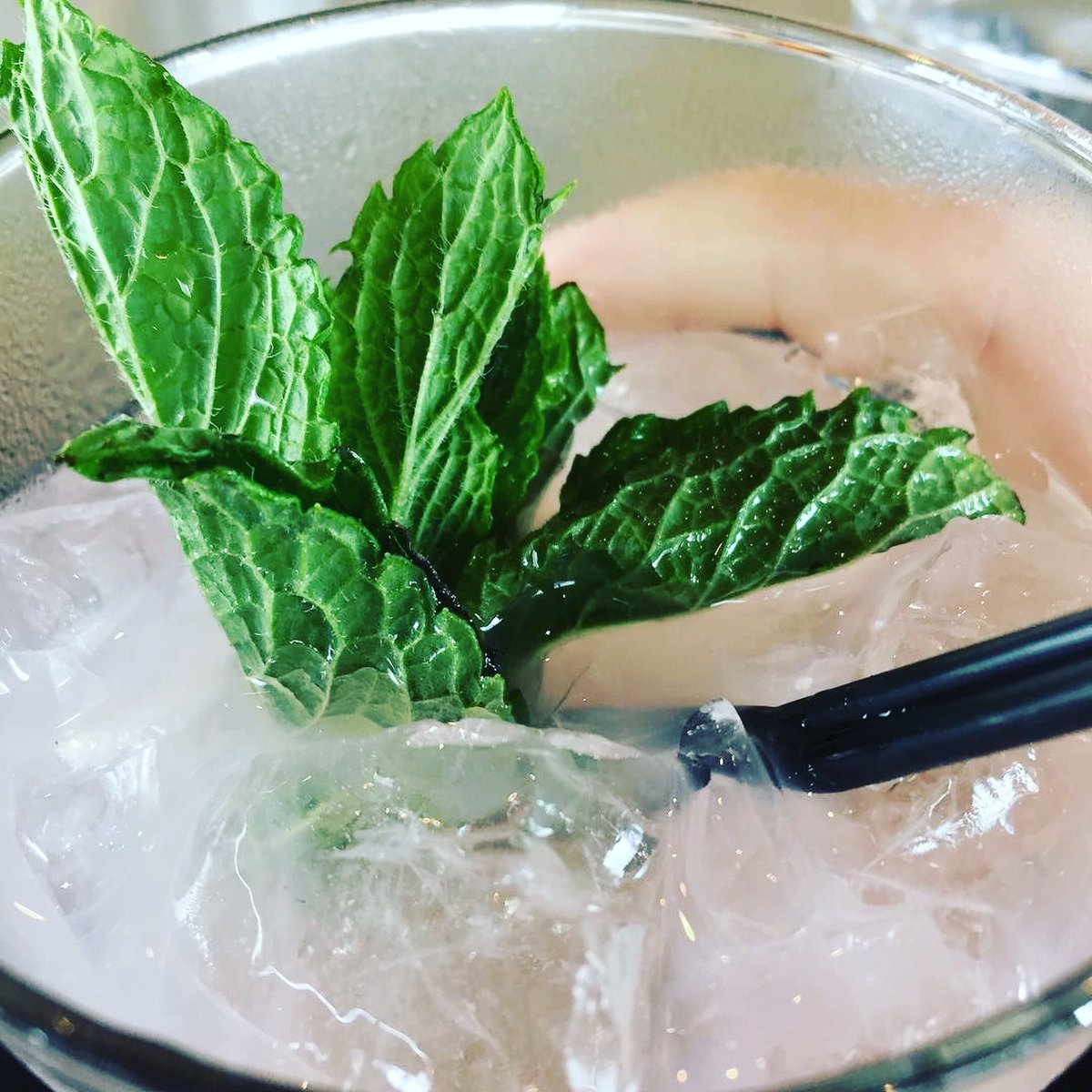 It's Friday put a sprig in it #familymeal #frederickmd #fridaynightfun ........#Repost <a href="/eccoyle/">Erin Coyle</a>