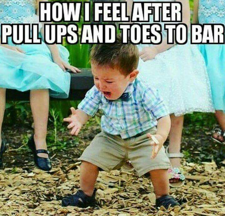 CrossFitNashua's tweet photo. Todays WOD for sure... #CrossFitNashua #Allthegymnastics #Pullup #Toetobar #Fitness #Gymnastics #FridayFun #Gains #Betterthanyesterday https://t.co/S5fq9aYvpN