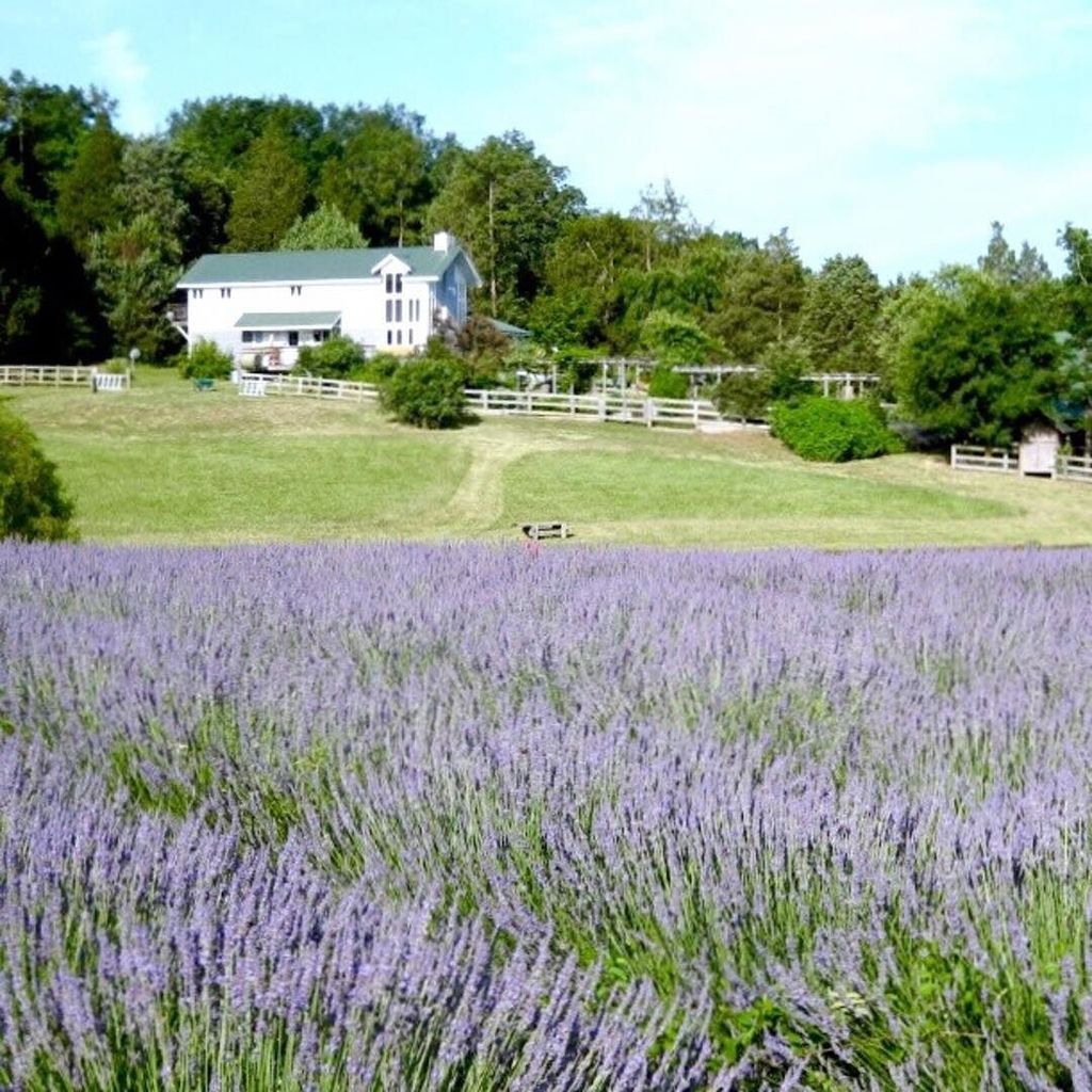 magic_of_simple's tweet image. 🌿💓🌿
Practice quietness. Listen unceasingly.
Slow down.
Remember: time is a limited resource. Don’t just use it wisely, savor it.
Work ridic…