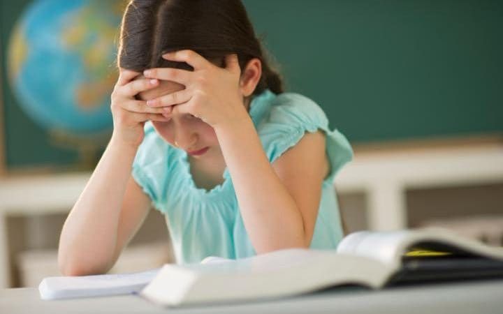 ManenoTheDragon's tweet photo. Too few schools are able to dedicate time to #reading in the timetable. Does your child have the time to read? https://t.co/B2wyS8ohlg https://t.co/oGMh4gQLcg