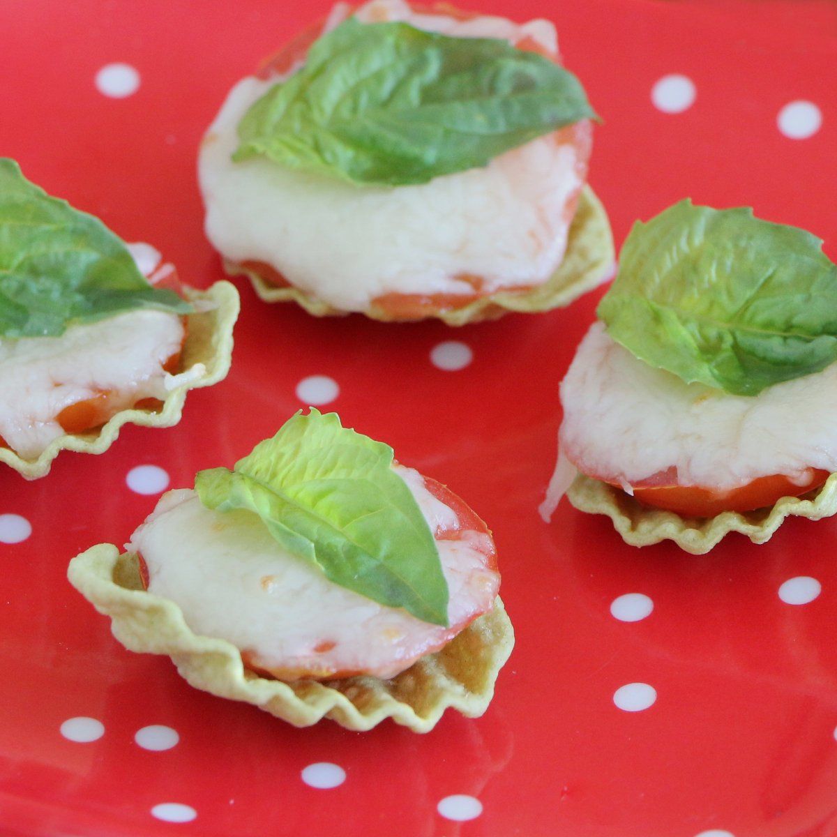 Looking for an easy appetizer that uses summer tomatoes? We've got it! #eatsmart #summer #snack #tomatoes #cheese #basil