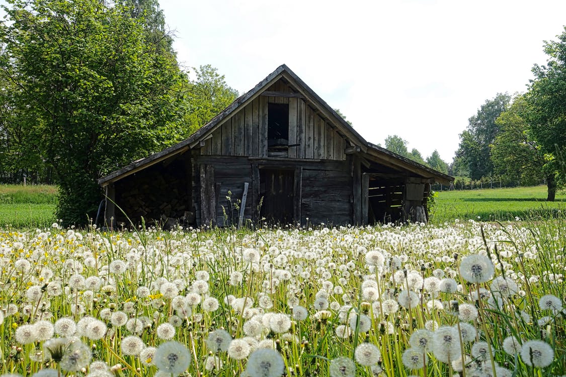 We specialize in the #restoration of post &amp; #beamstructures, which are some of the oldest and proudest #buildings around! #barnrepair