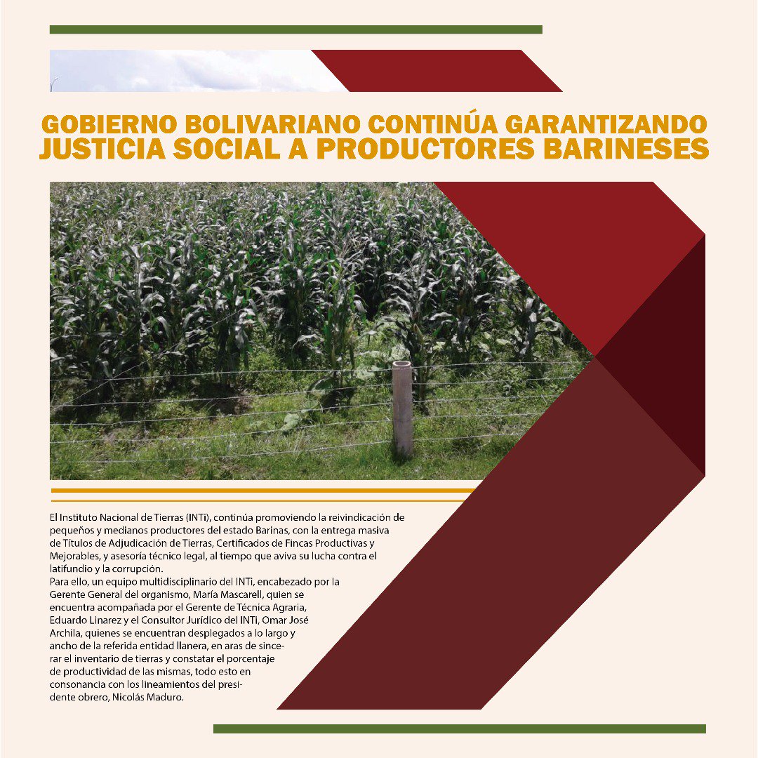 INTi_Venezuela's tweet photo. #SembrandoNoticias | Gobierno Bolivariano continúa garantizando justicia social a productores   barineses #Edicion11 https://t.co/ndjYgCE2a6 https://t.co/PdVZEotjlB